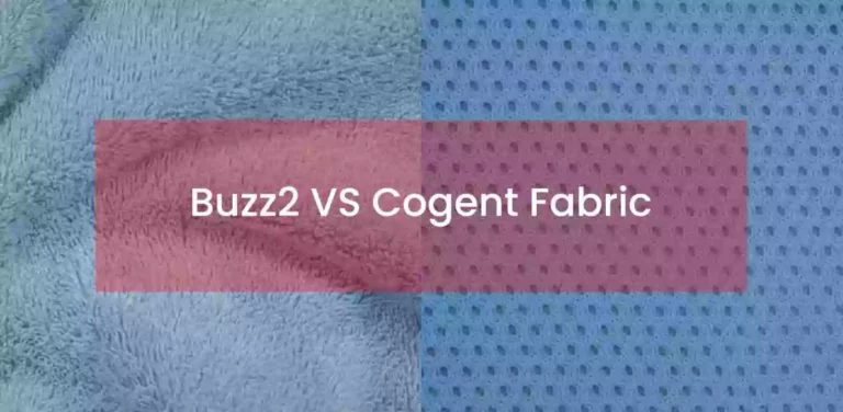 Buzz2 vs Cogent Fabric: Thorough Comparison of Steelcase Fabrics